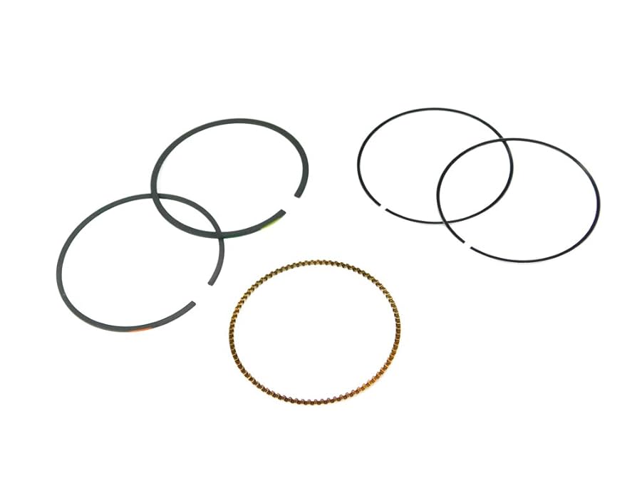 Sᙏ̤̫⑅* Amazon.com: Briggs & Stratton 594098 Ring Genuine Original